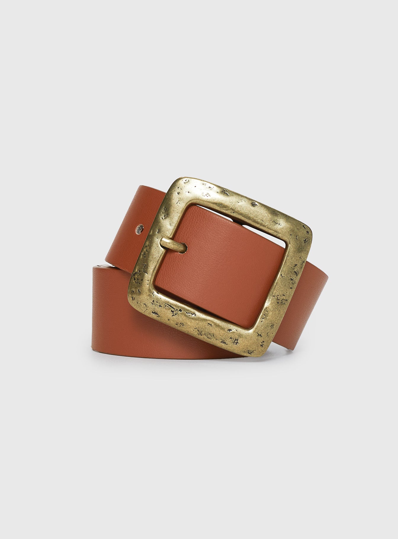 Alternative view of Anaheim Belt Brown / Gold