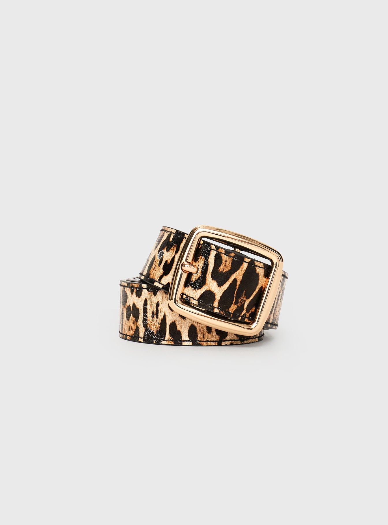 Alternative view of Chapman Belt Leopard