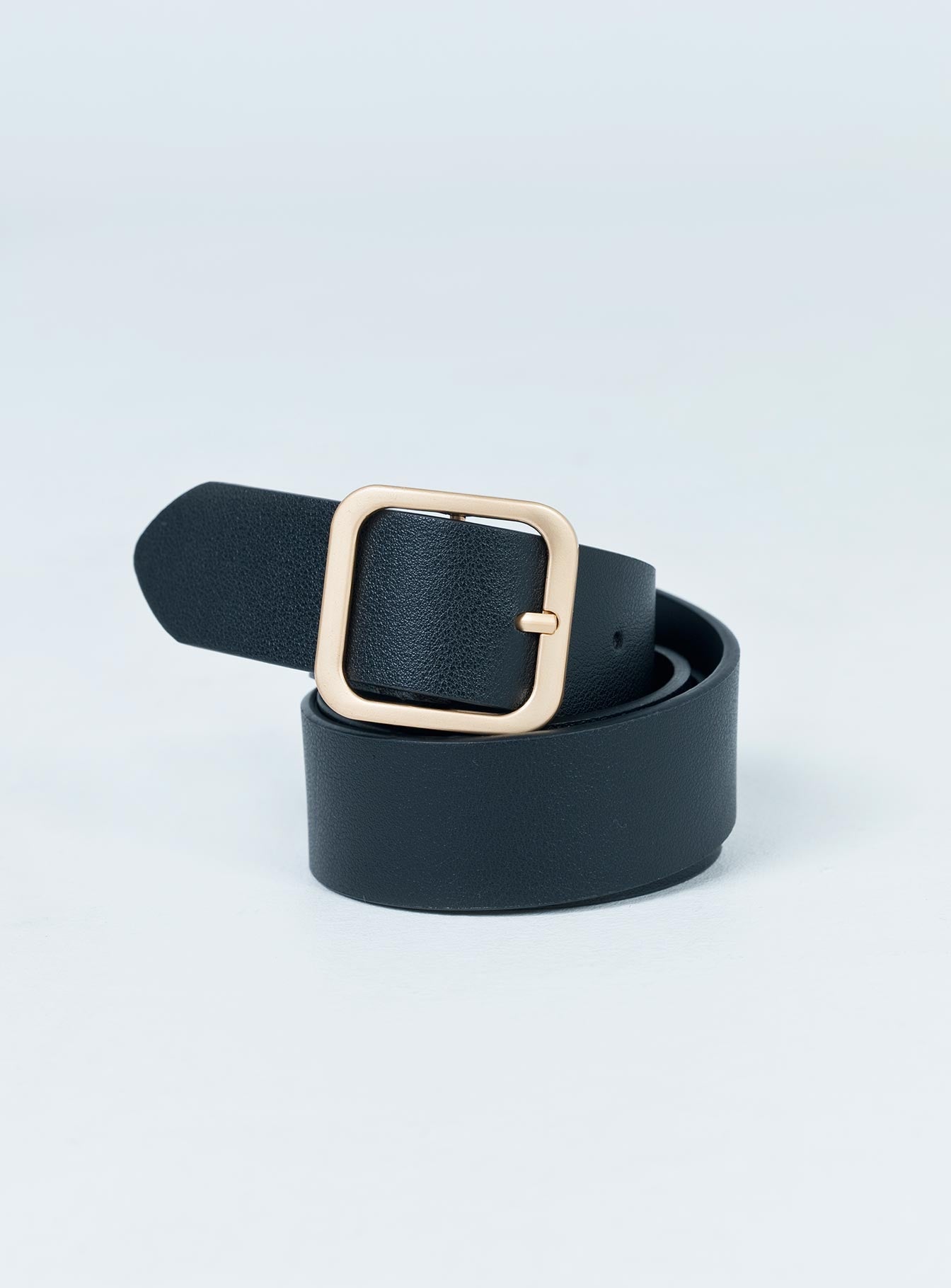 Alternative view of Boyish Belt